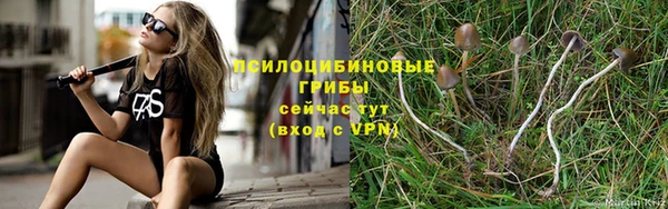 spice Алексеевка